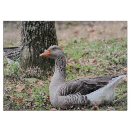 Tabla De Cortar Fluctuación