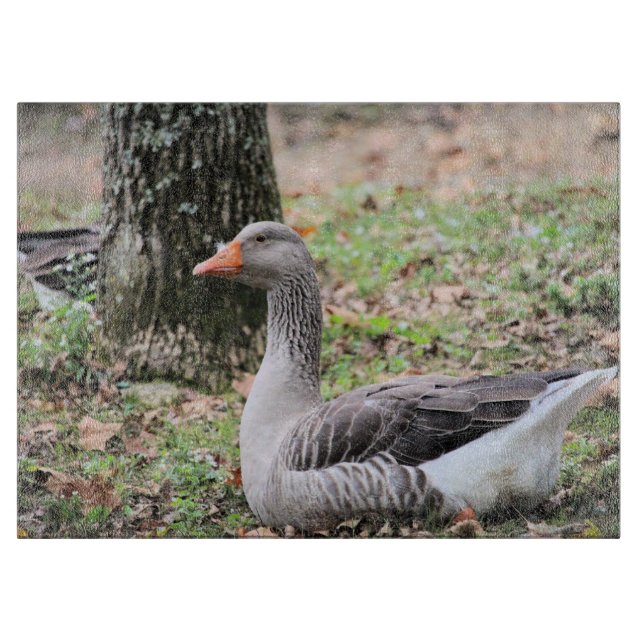 Tabla De Cortar Fluctuación (Anverso)