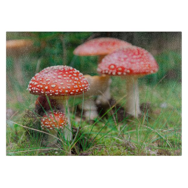 Tabla De Cortar Fly-Agaric En Un Bosque, Foto De Cierre (Anverso)