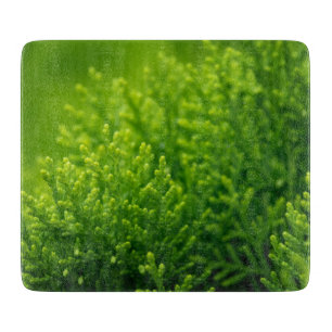 Tabla De Cortar Fondo de hojas verdes