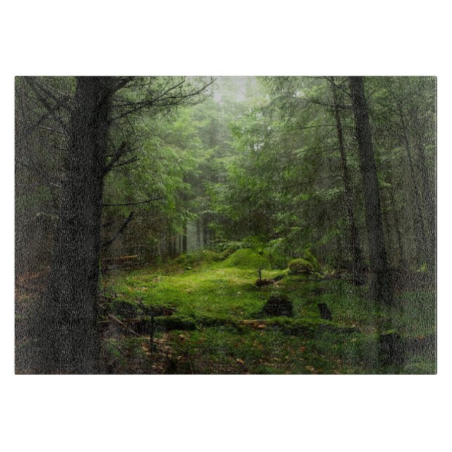 Tabla De Cortar Forests | Auvergne France (Anverso)