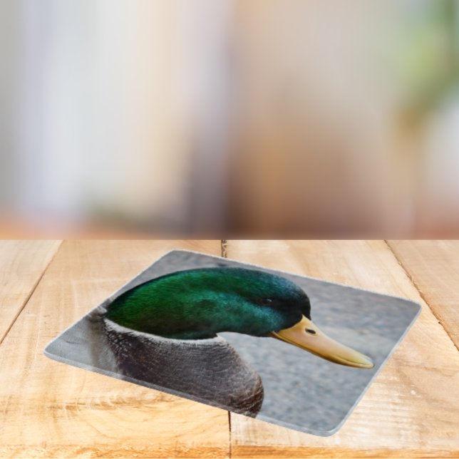 Tabla De Cortar Foto de Drake de mallard de cabeza verde (In Situ)