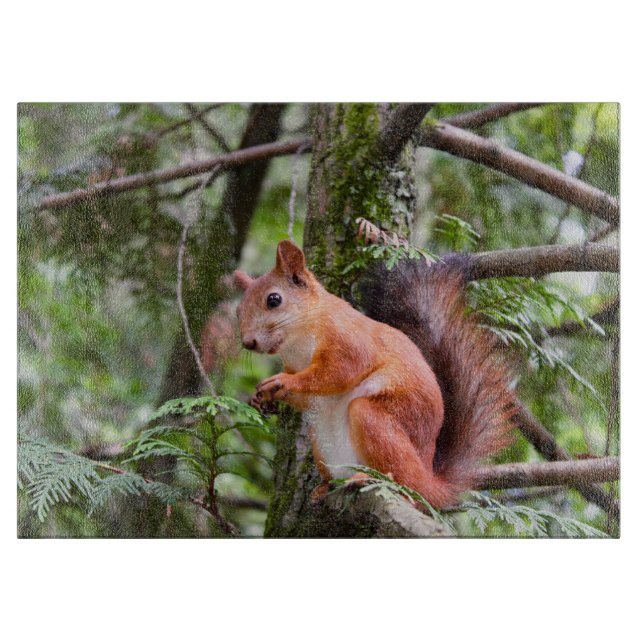 Tabla De Cortar Fotografía de ardilla (Anverso)