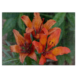 Tabla De Cortar Fotografía de Flor de Día Lirio Naranja Canadiense