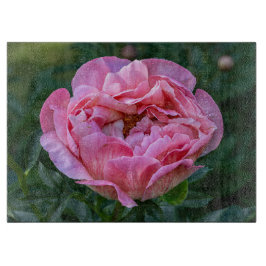 Tabla De Cortar Fotografía de Peonía, Flor Rosa