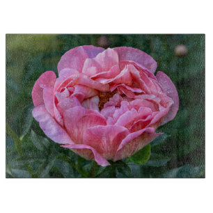 Tabla De Cortar Fotografía de Peonía, Flor Rosa