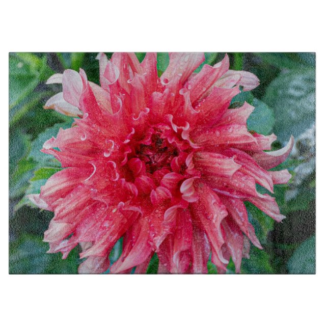 Tabla De Cortar Fotografía rosa de Dahlia, flor canadiense (Anverso)