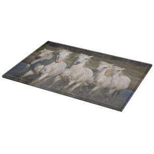 Tabla De Cortar Francia, Camargue. Caballos corren