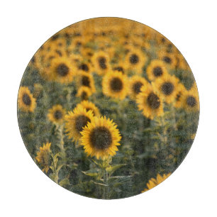 Tabla De Cortar Francia, Vaucluse, campo de girasoles