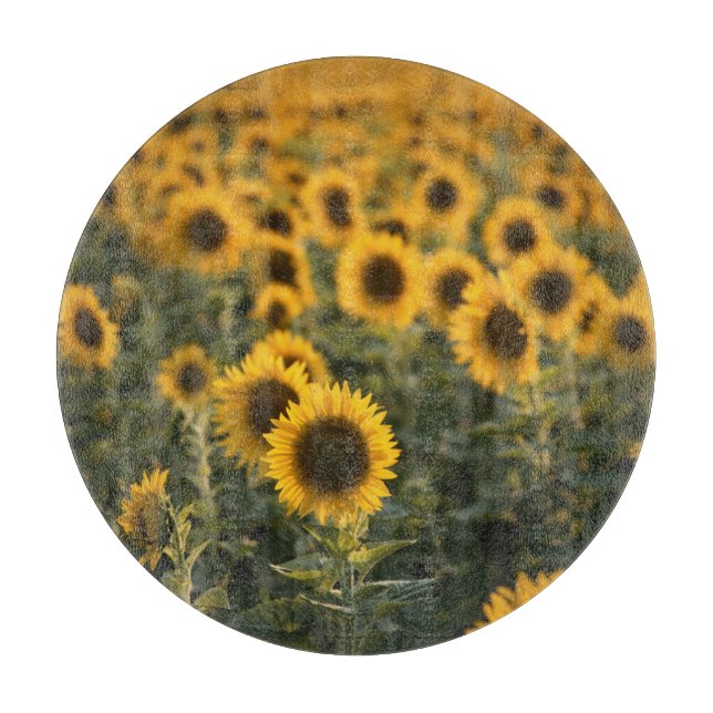 Tabla De Cortar Francia, Vaucluse, campo de girasoles (Anverso)