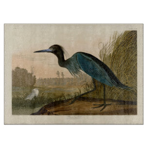 Tabla De Cortar Garza Grulla Azul Impresión de Audubon Arte Coster