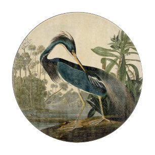 Tabla De Cortar Garzas de Louisiana de Audubon Pájaros América Art