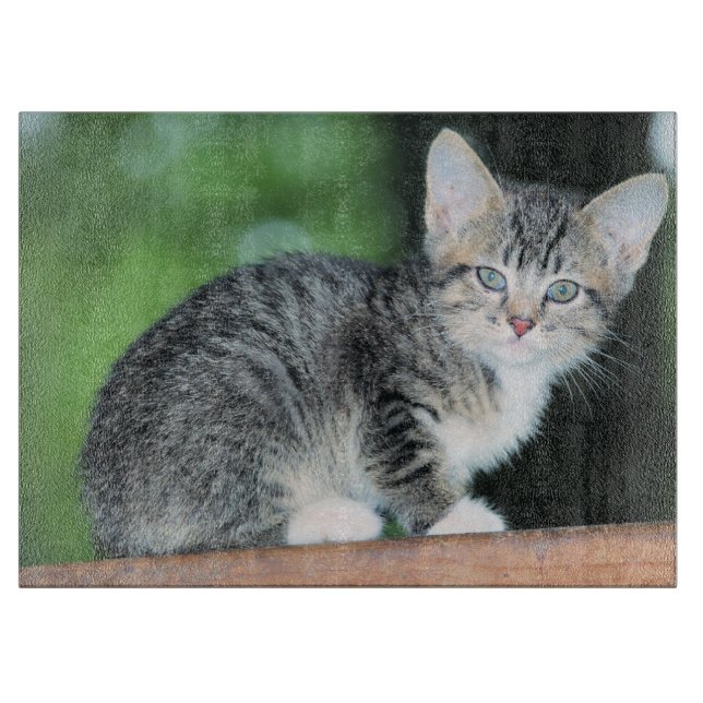 Tabla De Cortar Gatito (Anverso)