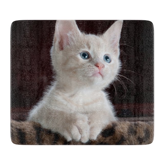 Tabla De Cortar Gatito blanco vulnerable (Anverso)