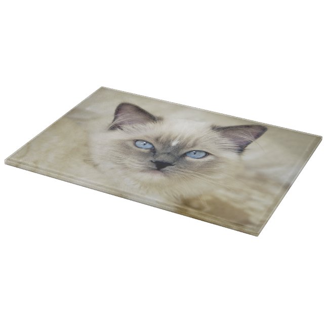 Tabla De Cortar Gatito ragdoll (Borde)