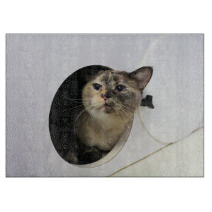 Tabla De Cortar Gato