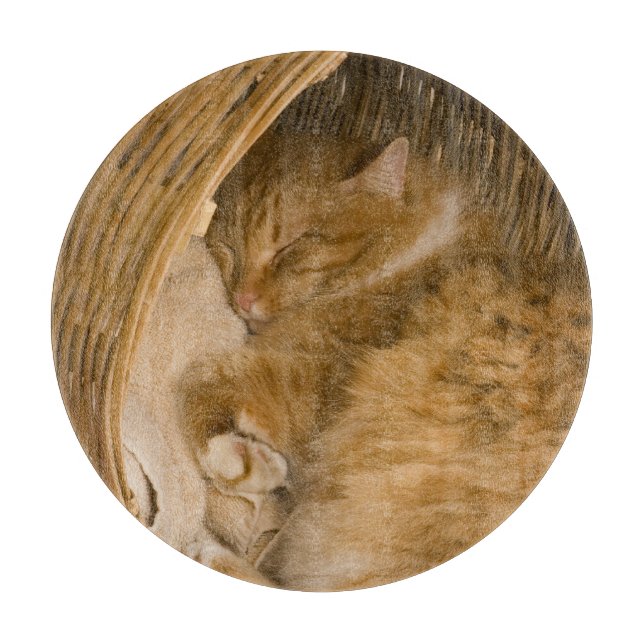 Tabla De Cortar Gato atigrado naranja durmiendo en cesto (Anverso)