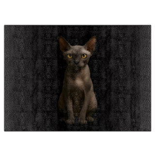 Tabla De Cortar Gato Sphynx en tablero de vidrio Black 4 Luxe