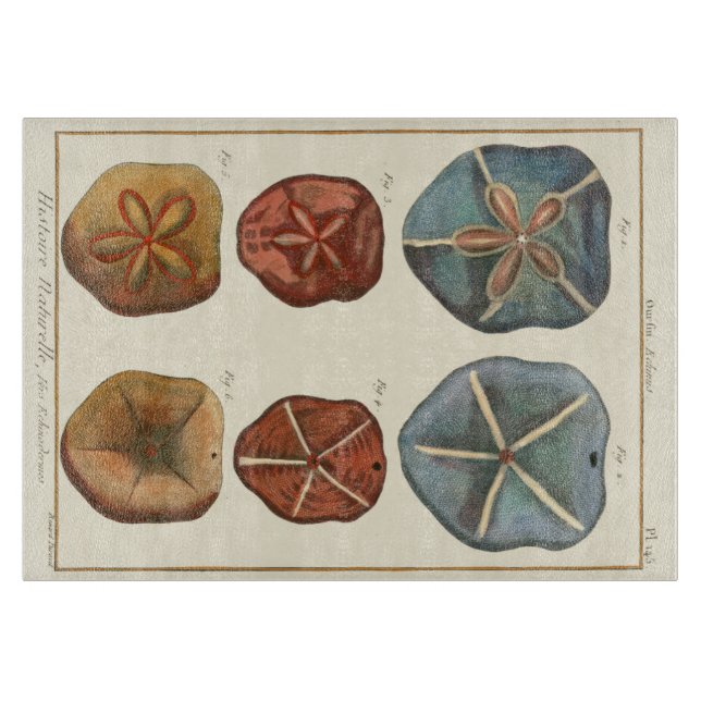 Tabla De Cortar Gemas de los dólares de arena (Anverso)