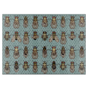 Tabla De Cortar Genética de la mosca del vinagre de la Drosophila