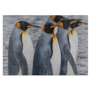 Tabla De Cortar Georgia del Sur. Pingüinos rey