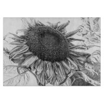 Gigantes Sunflowers Vintage Arte Blanco Y Negro