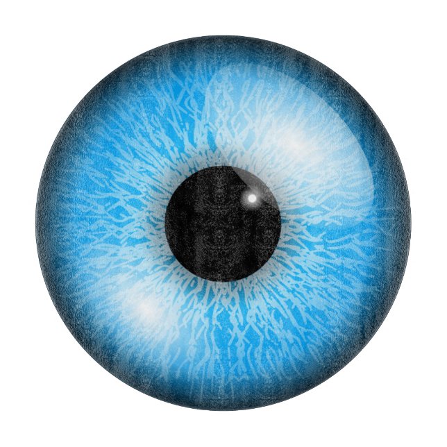 TABLA DE CORTAR GLOBO OCULAR (Anverso)