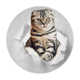 Tabla De Cortar Gracioso Gato Gris recorriendo la ilusión de papel