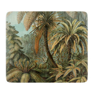Tabla De Cortar Helechos Palma Árbol Antiguo Arte Botánico Helecho