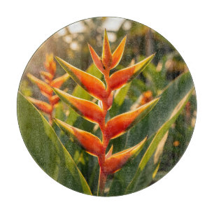 Tabla De Cortar Heliconia Naranja Flor Tropical Hora Dorada 