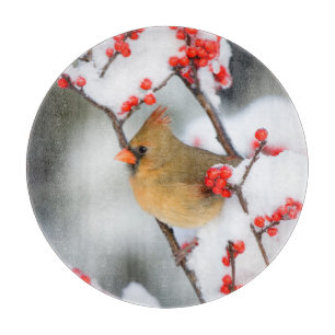 Tabla De Cortar hembra de cardenal norteño en Common Winterberry