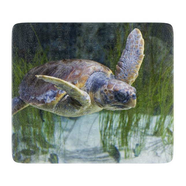 Tabla De Cortar Hermosa Tortuga Marítima Nadando (Anverso)