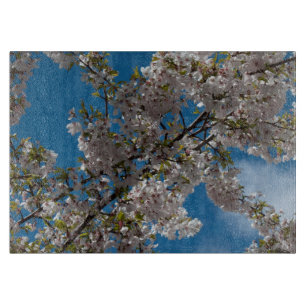 Tabla De Cortar Hermoso árbol floreciente de cerezo contra el ciel