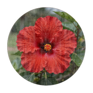 Tabla De Cortar Hibisco Tropical Rojo Vibrante Floración