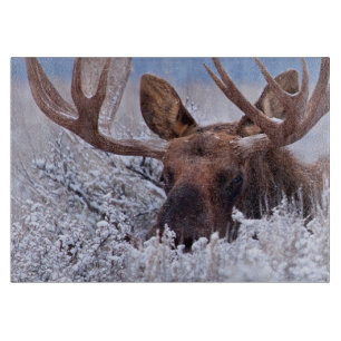 Tabla De Cortar Hielo y nieve Parque nacional del Gran Tetón, Wy