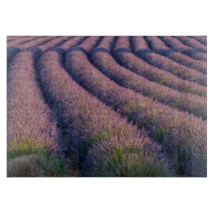 Tabla De Cortar Hileras de lavanda en Provenza