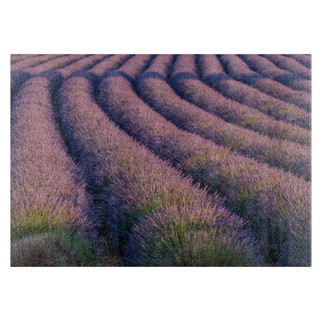 Tabla De Cortar Hileras de lavanda en Provenza (Anverso)