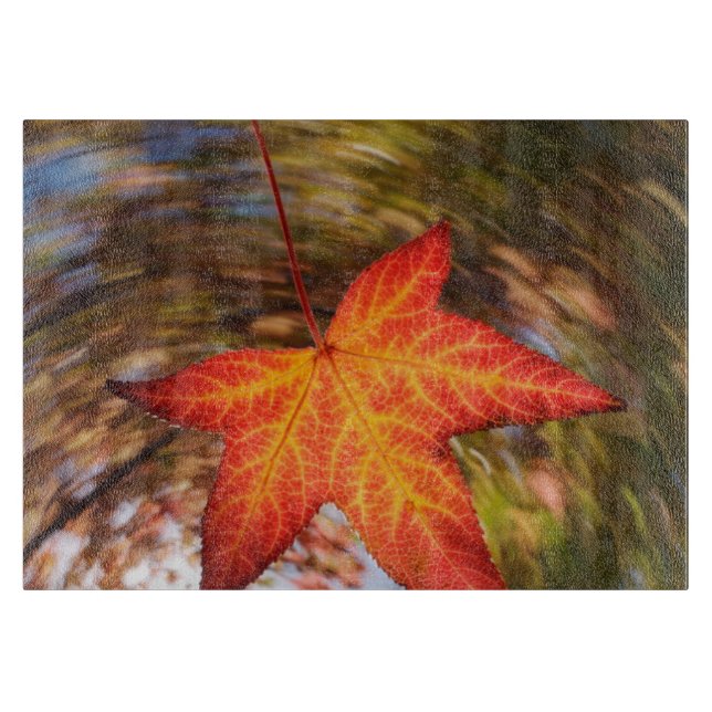 Tabla De Cortar Hoja que cae de un árbol en otoño (Anverso)