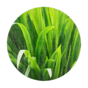 Tabla De Cortar Hojas iluminadas en el jardín