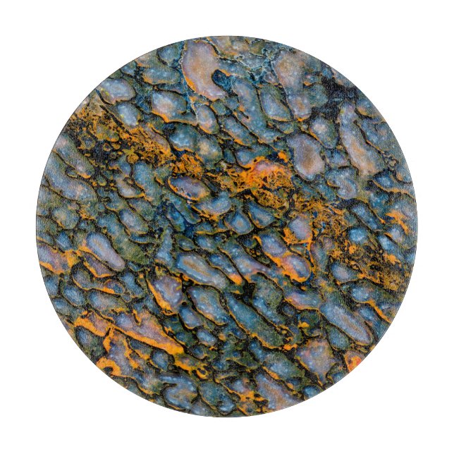 Tabla De Cortar Hueso de dinosaurio Petrificado (Anverso)