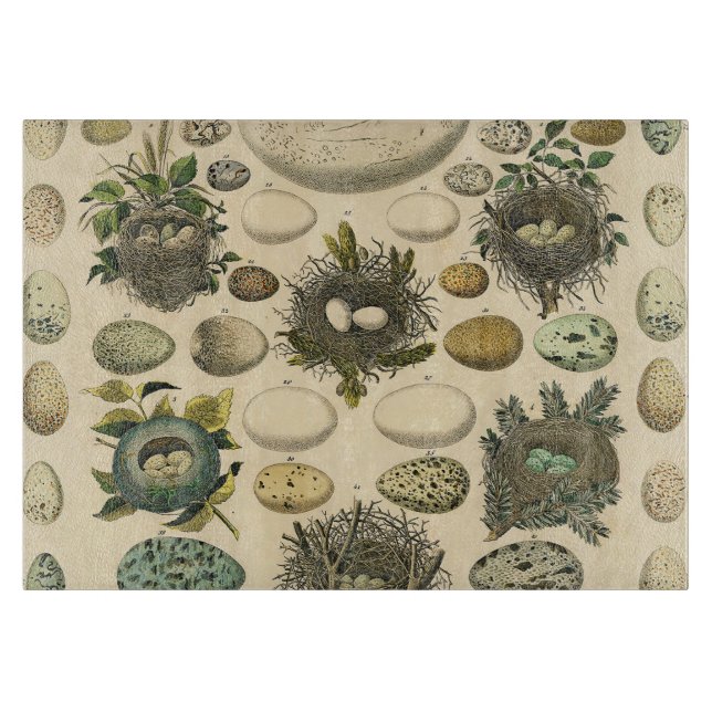 Tabla De Cortar Huevos de pintura de arte de nido de ave de ave vi (Anverso)