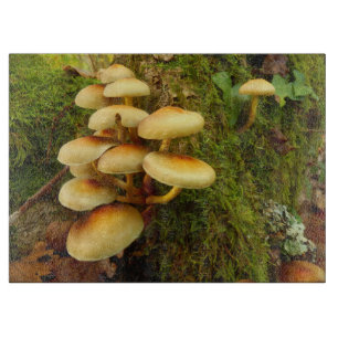 Tabla De Cortar Hypholoma fasciculare Mushroom Chopping Board