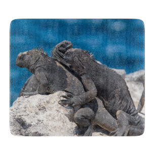 Tabla De Cortar Iguana marina