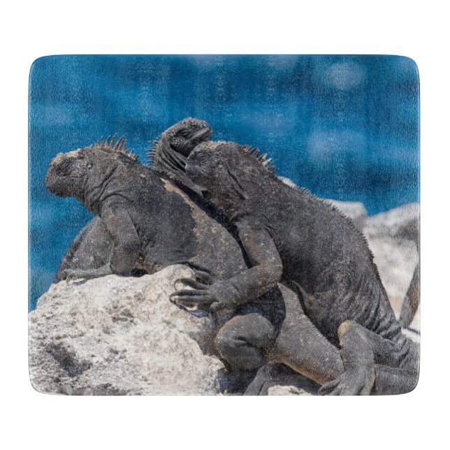 Tabla De Cortar Iguana marina (Anverso)