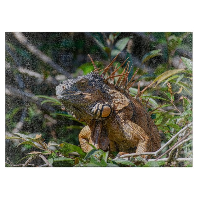 Tabla De Cortar Iguana naranja, Lizard Photography (Anverso)