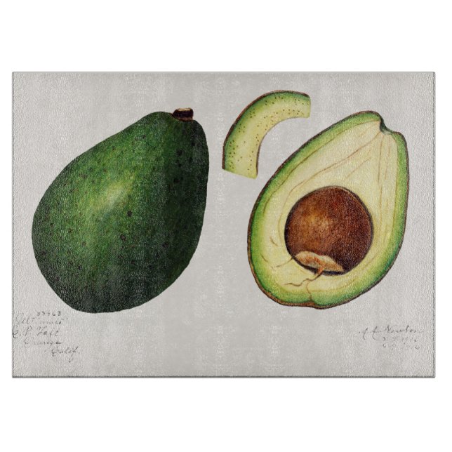 Tabla De Cortar Ilustracion Aguacate (Anverso)