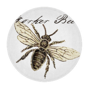 Tabla De Cortar Ilustración Antigüedad Insecto Abeja Obrera Vintag