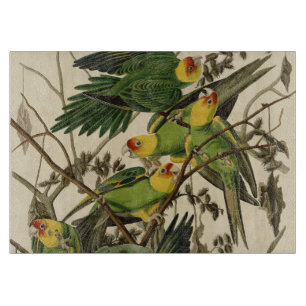 Tabla De Cortar Ilustracion Audubon Carolina Parrot Bird