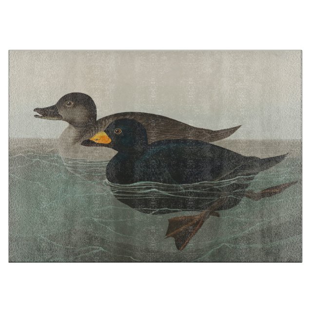 Tabla De Cortar Impresión de Negrón Americano de Audubon: Pato Cos (Anverso)