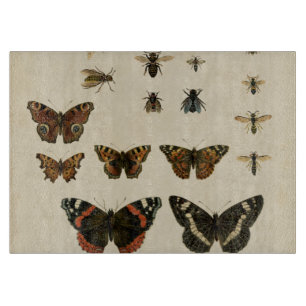 Tabla De Cortar Insectos del jardín por el estudio de Vision